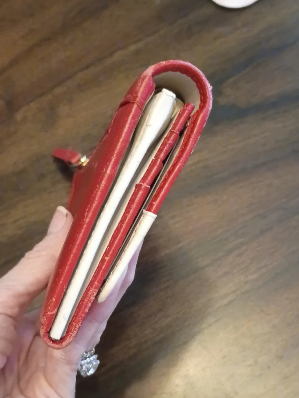 Radley London winter Christmas snow skating dog wallet